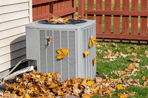 Best HVAC Air Duct Cleaning  in Island City, OR
